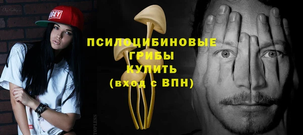 Альфа ПВП Алексин