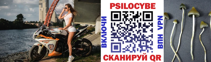 Галлюциногенные грибы Psilocybe  MEGA ТОР  Стародуб  купить наркоту 